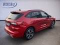 Daumennagel 3 - Ford Kuga Plug-In Hybrid ST-Line