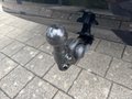 Daumennagel 14 - Ford Capri 77 kWh RWD +AHK+ASSISTENZPAKET+WÄREMPUMPE+