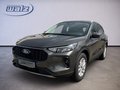 Daumennagel 1 - Ford Kuga Plug-In Hybrid Titanium +WINTERPAKET+AHK+