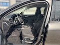 Daumennagel 7 - Ford Kuga Plug-In Hybrid Titanium +WINTERPAKET+AHK+