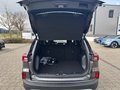 Daumennagel 12 - Ford Kuga Plug-In Hybrid Titanium +WINTERPAKET+AHK+
