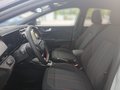 Daumennagel 7 - Ford Puma ST-Line Automatik+Winterpaket + Fahrerassistenz-Paket + Dach in Kontrastfarbe Schwarz