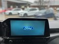 Daumennagel 9 - Ford Transit Custom Kasten Sport 320 L1H1 Limited AWD 4x4