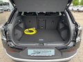 Daumennagel 12 - Ford Explorer RWD +ASSISTENZPAKET+WÄRMEPUMPE+
