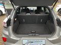 Daumennagel 12 - Ford Puma ST-Line 1.0i 125PS Winterpaket,AHK, Navi