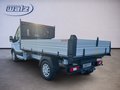 Daumennagel 4 - Ford Transit Pritsche 3-Seiten-Kipper Scattolini 350 L2 Einzelkabine Trend