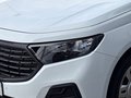 Daumennagel 5 - Ford Transit Connect PHEV Trend L2 Kasten