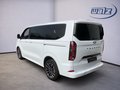 Daumennagel 4 - Ford Tourneo Custom Bus 320 L1 Titanium X FWD 170PS TDCI