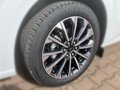 Daumennagel 6 - Ford Tourneo Custom Bus 320 L1 Titanium X FWD 170PS TDCI