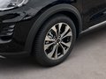 Daumennagel 6 - Ford Titanium +Winterpaket+Fahrerassistenzp.