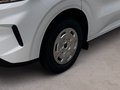 Daumennagel 6 - Ford Transit Custom Kasten 320 L2 Trend FWD