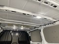 Daumennagel 13 - Ford Transit Custom Kasten 320 L2 Trend FWD