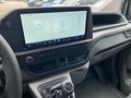 Daumennagel 10 - Ford Transit Custom Kasten 320 L2 Trend FWD