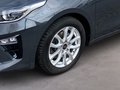 Daumennagel 6 - Kia Ceed Kombi Vision 1.4 T-GDI Automatik