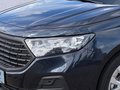 Daumennagel 5 - Ford Tourneo Connect PHEV Trend