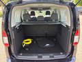Daumennagel 12 - Ford Tourneo Connect PHEV Trend