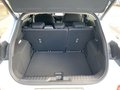 Daumennagel 12 - Ford Puma Gen-E +WINTERPAKET+KOMFORTPAKET+