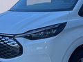 Daumennagel 5 - Ford Transit Custom Kasten E 320 L1 Trend RWD