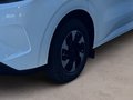 Daumennagel 6 - Ford Transit Custom Kasten E 320 L1 Trend RWD