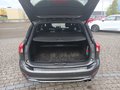 Daumennagel 12 - Ford Focus Turnier ST-Line Top Gepflegt +AHK