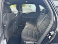 Daumennagel 11 - Ford Kuga Plug-In Hybrid ST-Line +WINTERPAKET+ACC+