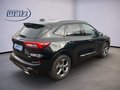Daumennagel 3 - Ford Kuga Hybrid ST-Line X Full- , Matrix-LED, Winterpaket 180PS Systemleistung