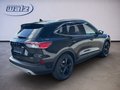 Daumennagel 3 - Ford Kuga Plug-In Hybrid Titanium X 2.5 PHEV 225PS Systemleistung LED,AHK,Navi,RFK uvm