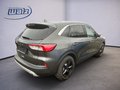 Daumennagel 4 - Ford Kuga Titanium 1.5 Ecoboost AHK, Winterpaket