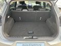 Daumennagel 12 - Ford Puma Titanium 1.0i 125PS AHK,ACC,Klima,Navi uvm