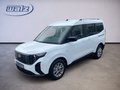 Daumennagel 1 - Ford Tourneo Courier Titanium +Winterpaket