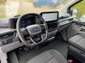 Daumennagel 10 - Ford Transit Custom 320 L1 Trend AWD Automatik