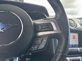 Daumennagel 16 - Ford Mustang GT +PREMIUM-PAKET+B&O+1.HAND+