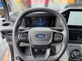 Daumennagel 8 - Ford Transit Custom Kasten 280 L1 Trend FWD