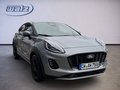 Daumennagel 2 - Ford Puma Titanium 1.0i Automatik