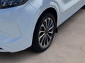 Daumennagel 6 - Ford E-Tourneo Custom Titanium X 64 kWh +218PS+LED+KAMERA+