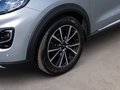 Daumennagel 6 - Ford Puma Titanium 1.Hand Top Gepflegt
