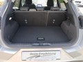 Daumennagel 12 - Ford Puma Titanium 1.Hand Top Gepflegt