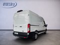 Daumennagel 3 - Ford Transit Kasten 350 L2 Trend