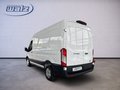 Daumennagel 4 - Ford Transit Kasten 350 L2 Trend