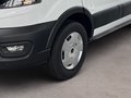 Daumennagel 6 - Ford Transit Kasten 350 L2 Trend