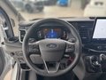 Daumennagel 8 - Ford Transit Kasten 350 L2 Trend