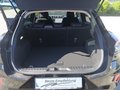 Daumennagel 12 - Ford Puma Titanium Winterpaket + Fahrerassistenz-Paket