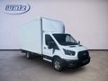 Daumennagel 2 - Ford Transit Pritsche 350 L4 Kofferaufbau Trend