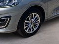 Daumennagel 6 - Ford Kuga Vignale Automatik, 4x4,AHK, ACC uvm 1. Hand