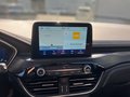 Daumennagel 9 - Ford Kuga Vignale Automatik, 4x4,AHK, ACC uvm 1. Hand