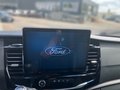 Daumennagel 7 - Ford Transit Kombi N1  350 L3 Trend Grundfahrzeug für Umbau