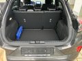 Daumennagel 12 - Ford Puma ST-Line X 1.0i Automatik, AHK,LED,Navi,PDC uvm