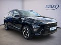 Daumennagel 3 - Hyundai Elektro PRIME 65,4 kWh +Kamera+PDC+BOSE+Klima+SHZ+LHZ+