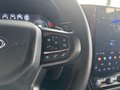 Daumennagel 17 - Ford Ranger Raptor e-4WD Doppelkabine +AHK+B&O+ACC+TWA+
