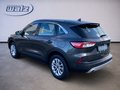 Daumennagel 4 - Ford Kuga Plug-In Hybrid Titanium +Winterpaket+